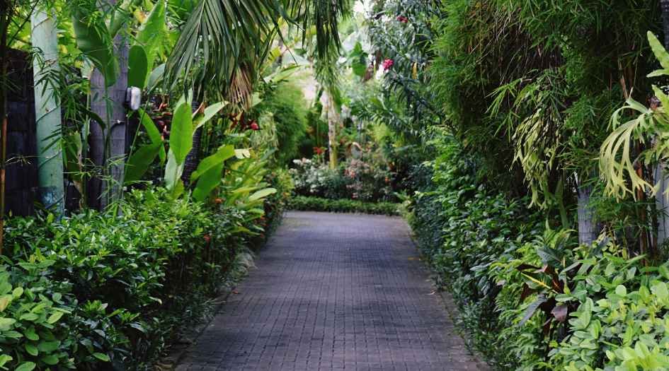 Spenta-Anthea-Amenities-Walking-Path