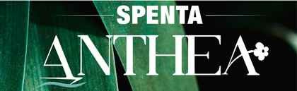 Spenta Anthea Logo
